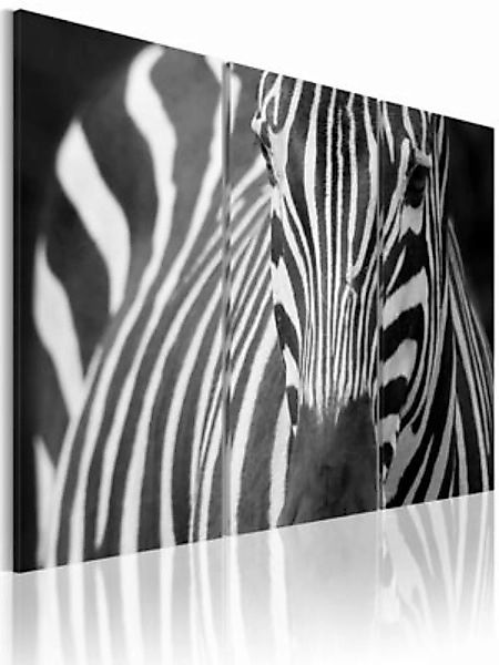 artgeist Wandbild Mrs. Zebra schwarz/weiß Gr. 60 x 40 günstig online kaufen