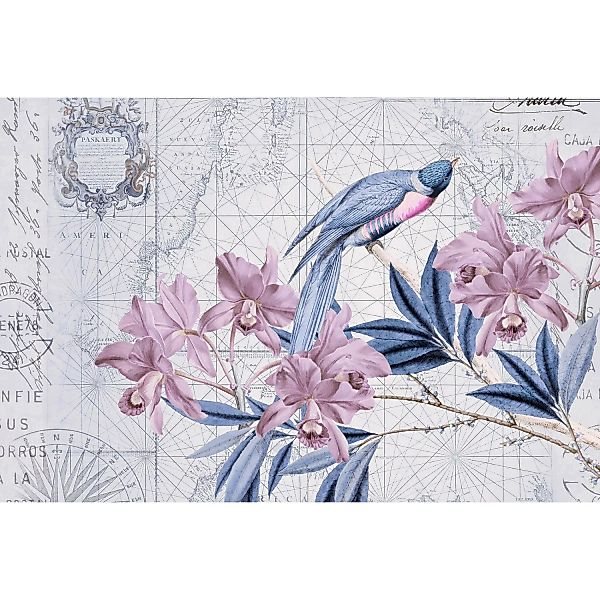 Fototapete Weltkarte Vogel Blumen Grau Blau Rosa 4,00 m x 2,70 m FSC® günstig online kaufen