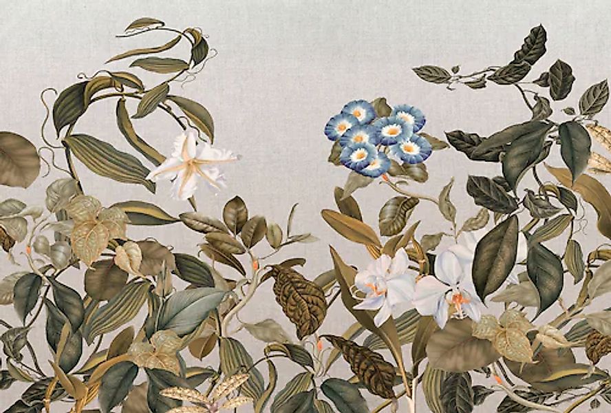 Architects Paper Fototapete »Atelier 47 Botanic Sketch 1« floral glatt Vlie günstig online kaufen