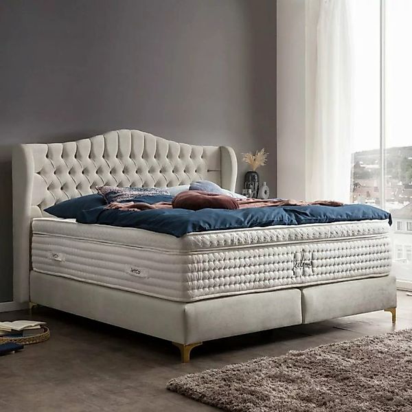 BettCo Boxspringbett Maison (in Creme Samt, 200 x 200 cm), Chesterfield, To günstig online kaufen