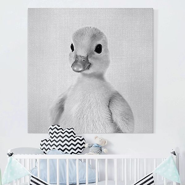 Leinwandbild Baby Ente Emma Schwarz Weiß günstig online kaufen