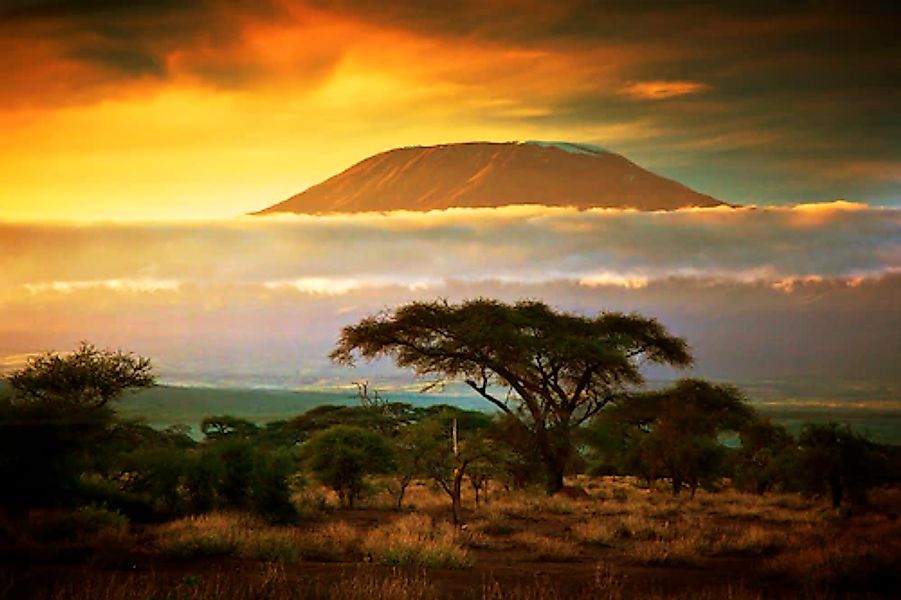 Papermoon Fototapete »Mount Kilimanjaro and Clouds« glatt günstig online kaufen