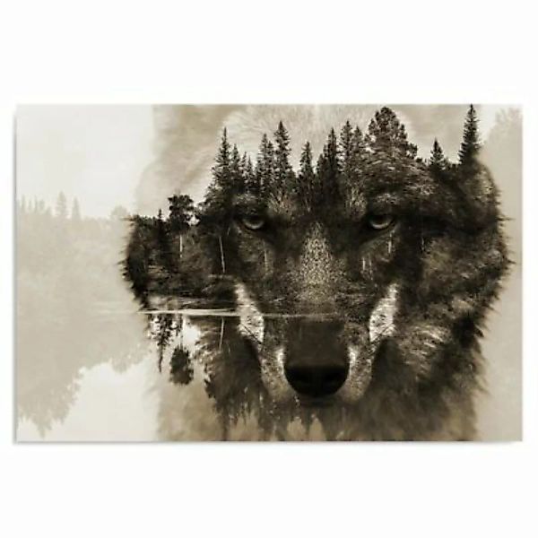 FEEBY® Kunst Wolf On A Background Of Forest Brown Leinwandbilder bunt Gr. 8 günstig online kaufen