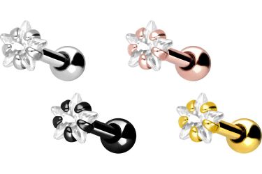 PIERCINGLINE Single-Ohrstecker Chirurgenstahl Ohrpiercing KRISTALLSTERN (Mi günstig online kaufen