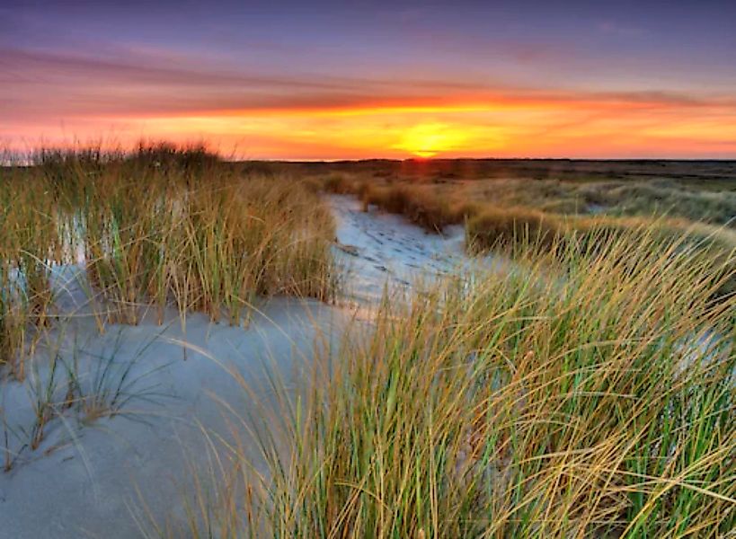 Papermoon Fototapete »Dunes Sunset« günstig online kaufen