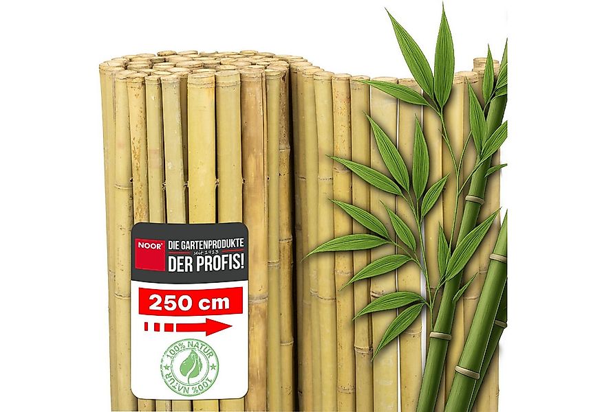 NOOR Sichtschutzzaunmatten Bambusmatte DELUXE - extra dicke Bambusstäbe, st günstig online kaufen