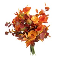 Kunstpflanze Zimmerpflanze, Atmosphera Créateur d'intérieur, Höhe günstig online kaufen