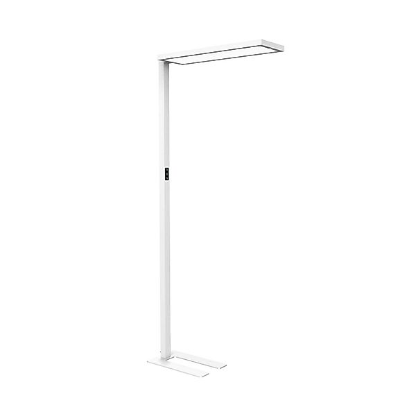 LED-Büro-Stehleuchte MAULsenja, weiß, Sensor, Höhe 196 cm günstig online kaufen