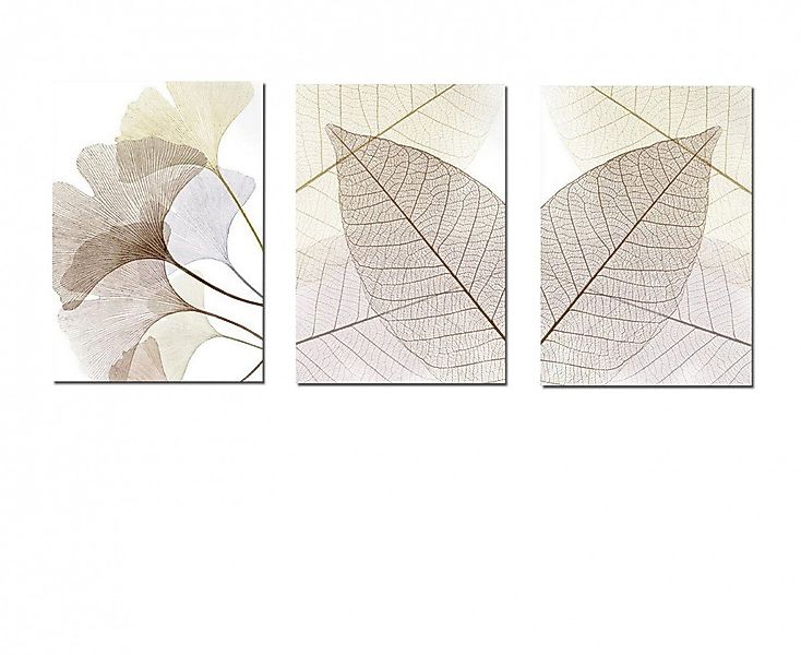 TPFLiving Kunstdruck (OHNE RAHMEN) Poster - Leinwand - Wandbild, Ginkgo-Bla günstig online kaufen