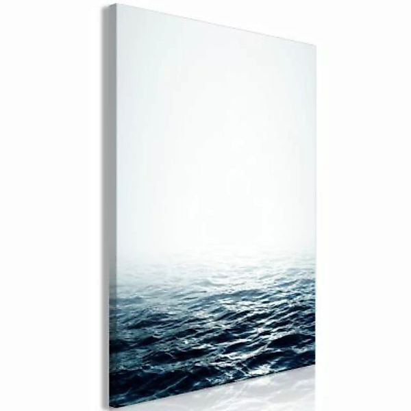 artgeist Wandbild Ocean Water (1 Part) Vertical grau/grün Gr. 40 x 60 günstig online kaufen