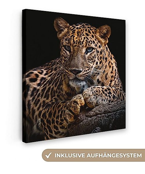 OneMillionCanvasses® Leinwandbild Wildtiere - Panther - Porträt - Schwarz - günstig online kaufen