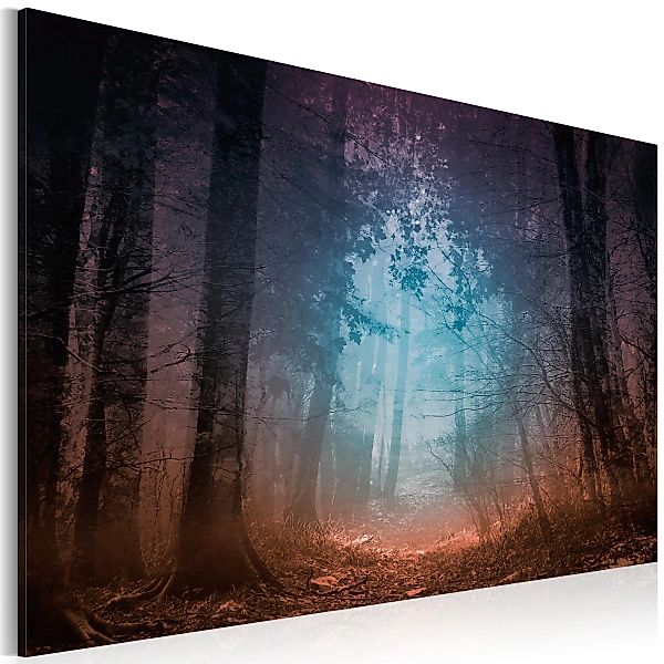Wandbild - Edge of the forest günstig online kaufen
