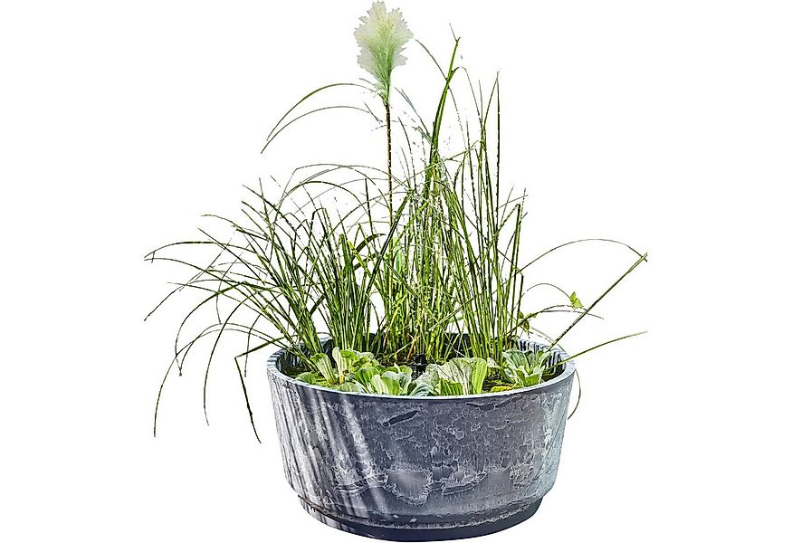 Heissner Gartenbrunnen Solar Wassergarten AQUATOPIA inkl. Wasserspielpump, günstig online kaufen