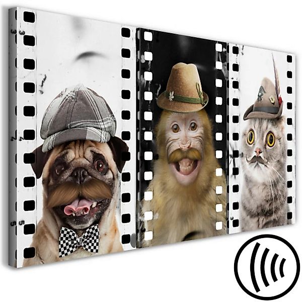 Bild auf Leinwand Funny Pets (Collection) XXL günstig online kaufen