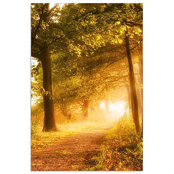 MuchoWow Poster Wald - Bäume - günstig online kaufen