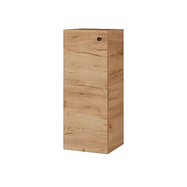 Planetmöbel Midischrank Midischrank 32cm (Gold Eiche) günstig online kaufen