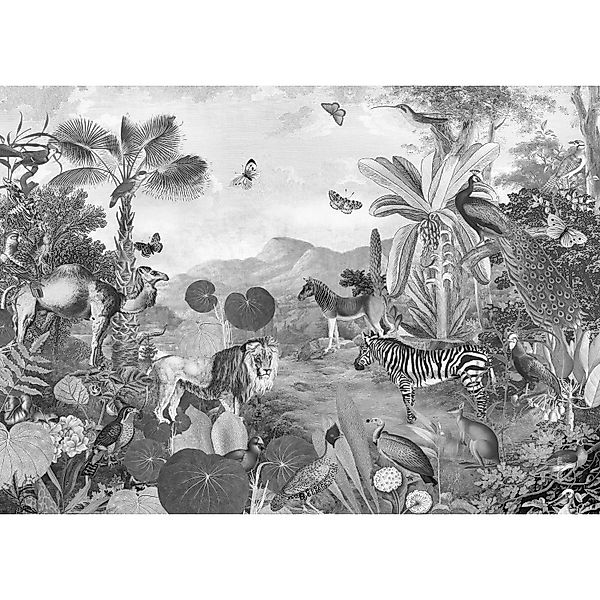 Komar Fototapete Flora And Fauna Schwarz-Weiß 350 x 250 cm 611639 günstig online kaufen