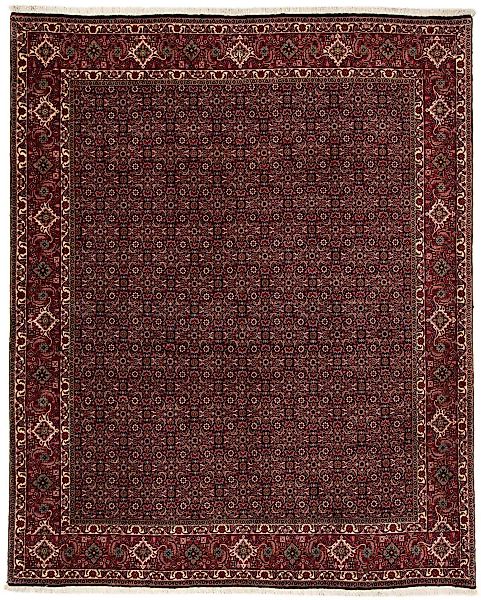 morgenland Orientteppich »Perser - Bidjar - 248 x 198 cm - dunkelrot«, rech günstig online kaufen