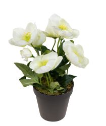 Kunstblume Christrosenbusch im Topf PM Kunstpflanzen günstig online kaufen