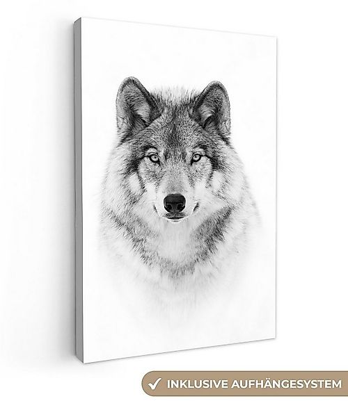 OneMillionCanvasses® Leinwandbild Wolf - Tiere - Porträt - Weiß, Fotodruck günstig online kaufen