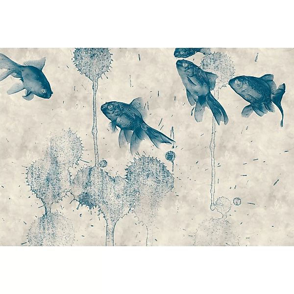 Fototapete Fische Teich Grau Blau 4,00 m x 2,70 m FSC® günstig online kaufen