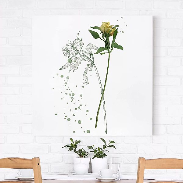 Leinwandbild Botanik - Quadrat Botanisches Aquarell - Lilie günstig online kaufen