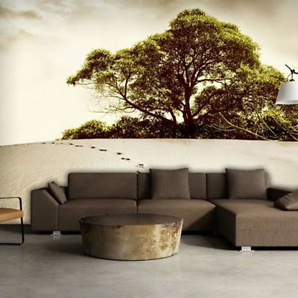 artgeist Fototapete Baum in der Wüste mehrfarbig Gr. 350 x 270 günstig online kaufen