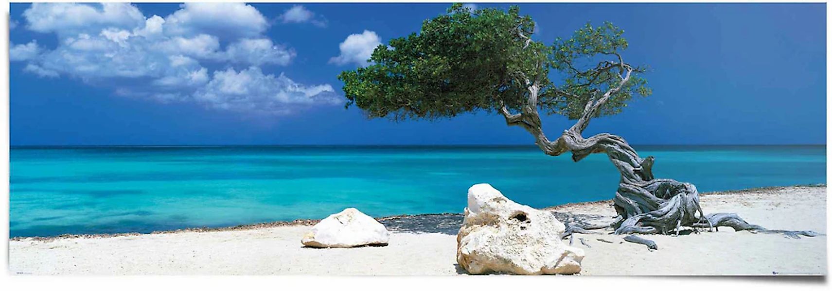 Reinders Poster "Tom Mackie divi divi Baum", (1 St.) günstig online kaufen