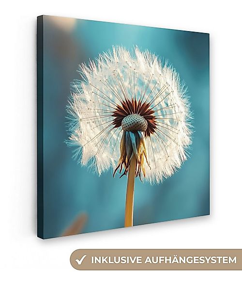 OneMillionCanvasses® Leinwandbild Löwenzahn - Natur - Blumen - Blau, Fotodr günstig online kaufen