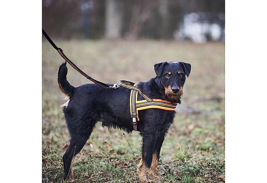 HEIM Hunde-Geschirr Hundegeschirr Signal günstig online kaufen