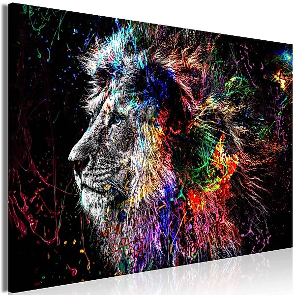 Wandbild - Crazy Lion (1 Part) Wide günstig online kaufen
