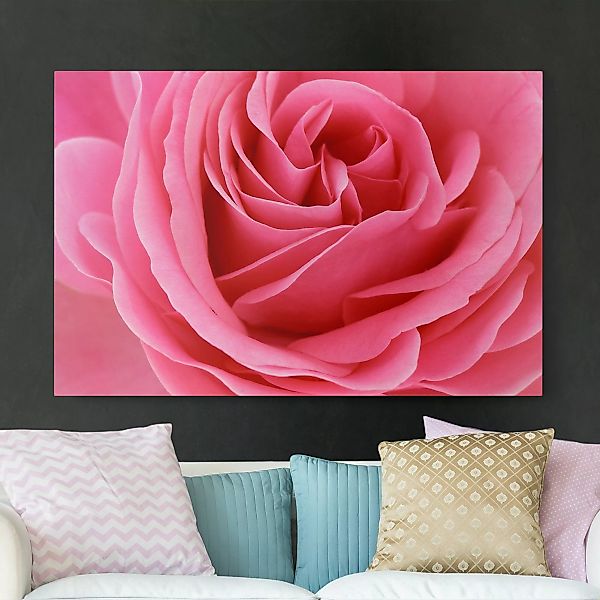 Leinwandbild Blumen - Querformat Lustful Pink Rose günstig online kaufen