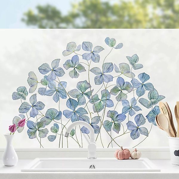 Fensterfolie Blaue Hortensienblüten günstig online kaufen