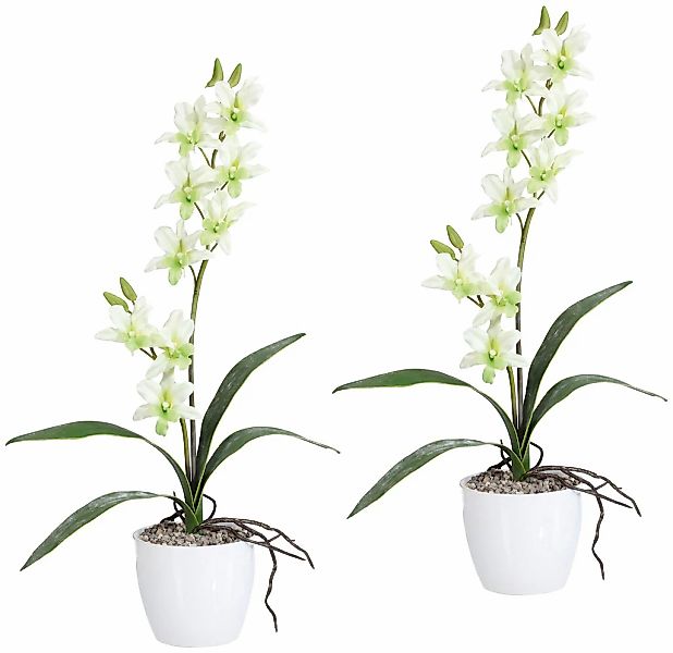 Creativ green Kunstpflanze "Orchidee Dendrobie", im Keramiktopf günstig online kaufen