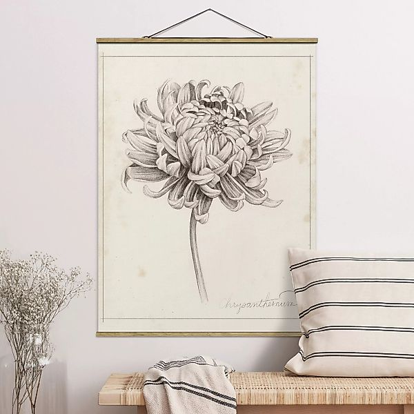 Stoffbild Blumen mit Posterleisten - Hochformat Botanische Studie Chrysanth günstig online kaufen