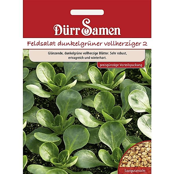 Dürr Samen Feldsalat Dunkelgrüner Vollherziger Saatgut Vorteilspack günstig online kaufen