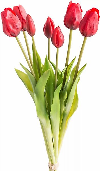 my home Kunstpflanze "Maiva", Tulpenbündel im 7er-Set günstig online kaufen