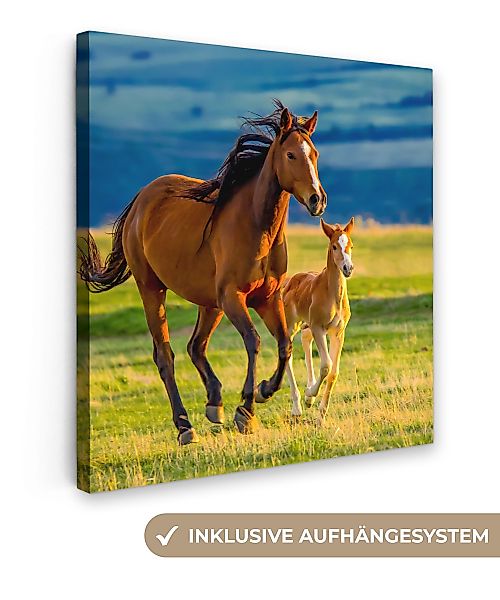 OneMillionCanvasses® Leinwandbild Pferde - Gras - günstig online kaufen