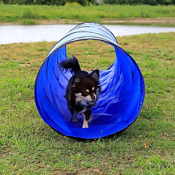 lionto Tier-Intelligenzspielzeug Hundetunnel, Agilitytunnel, mit Heringen günstig online kaufen