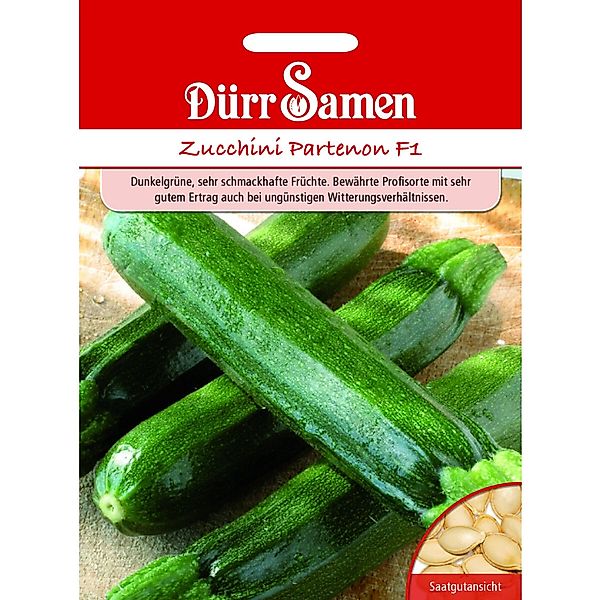 Dürr Samen Zucchini Partenon F1 Saatgut günstig online kaufen