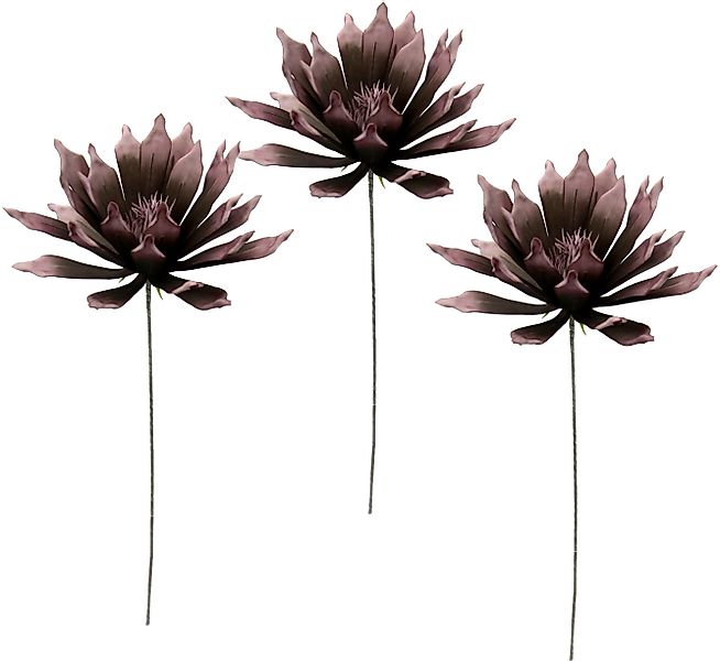 Kunstblume Soft-Protea, I.GE.A., Höhe 84 cm, günstig online kaufen