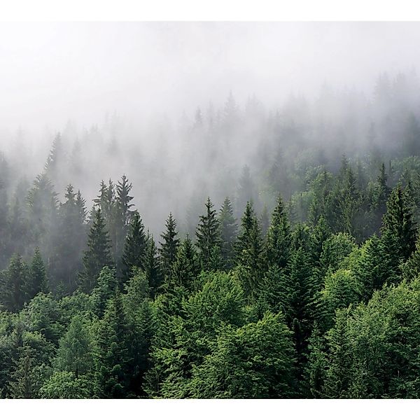 Sanders & Sanders Fototapete Berglandschaft Mit Bäumen Grün 3 x 2,7 m 60117 günstig online kaufen