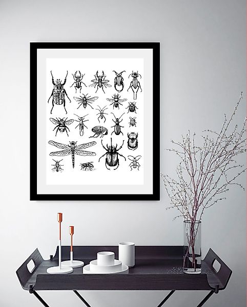 queence Bild »Käfer«, Tiere-Schwarz-Weiß-Kunst-Insekten, HD Premium Poster- günstig online kaufen