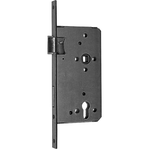 Haustürschloss für Profilzylinder DIN rechts Silber,ackiert günstig online kaufen