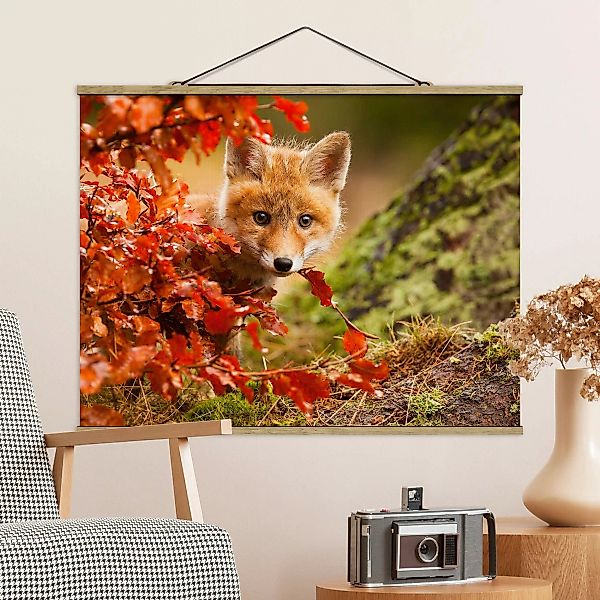 Stoffbild Tiere mit Posterleisten - Querformat Fuchs im Herbst günstig online kaufen
