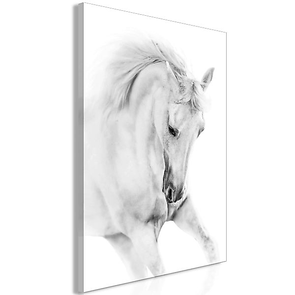 Wandbild - White Horse (1 Part) Vertical günstig online kaufen