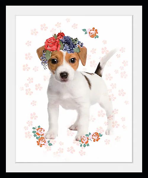 queence Bild "Blumenhund", Hunde, (1 St.) günstig online kaufen