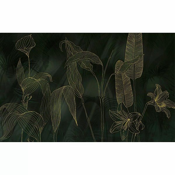 Komar Fototapete »Digitaldruck Vlies - Darkest Green - Größe 400 x 250 cm«, günstig online kaufen