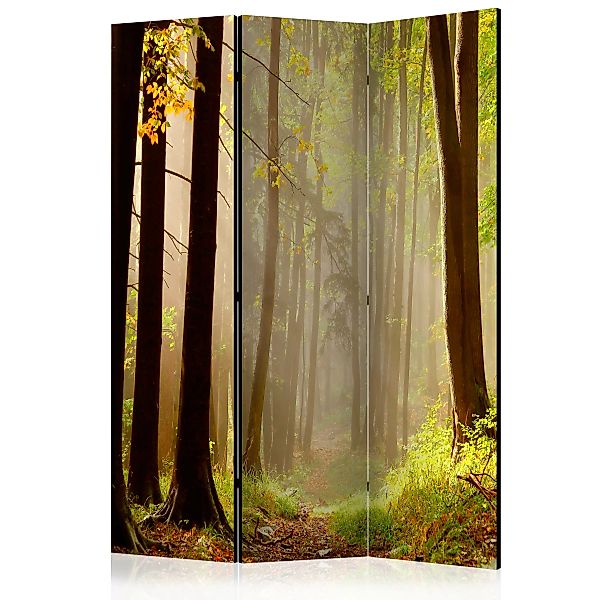 3-teiliges Paravent - Mysterious Forest Path [room Dividers] günstig online kaufen