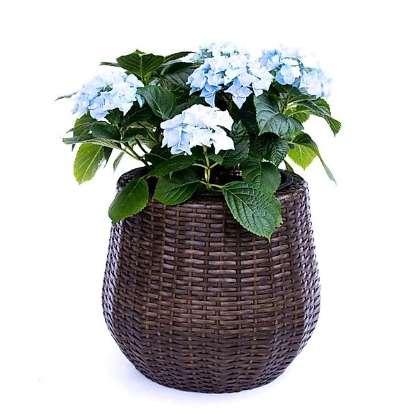 Elegant Einrichten Pflanzkübel Polyrattan Rund-Konisch D52xH44cm Mocca günstig online kaufen